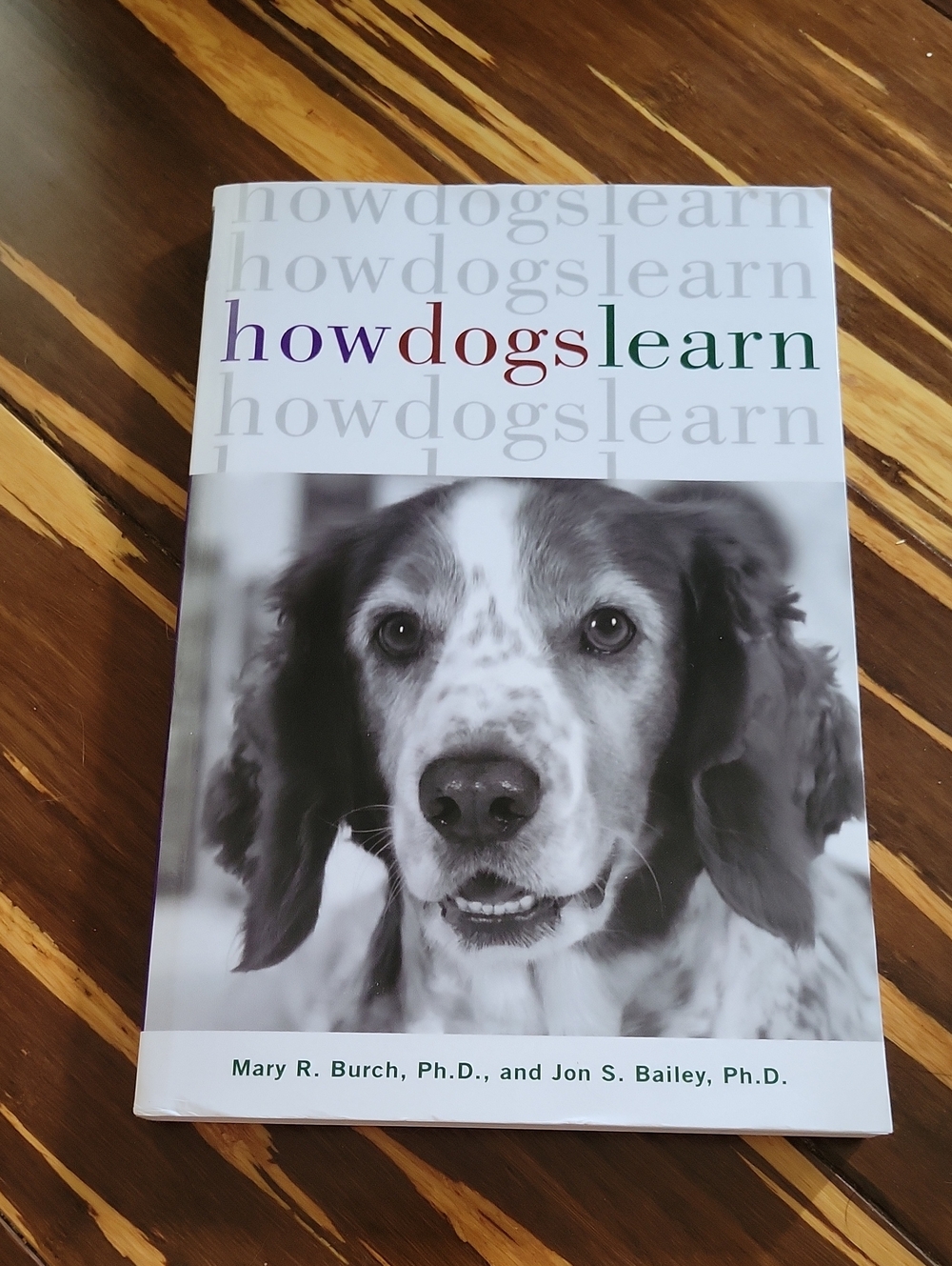 How Dogs Learn by Mary R. Burch & Jon S. Bailey